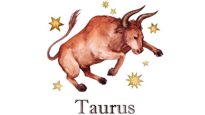 TAURUS- Ilustrasi zodiak Taurus hari ini 17 Januari 2026.