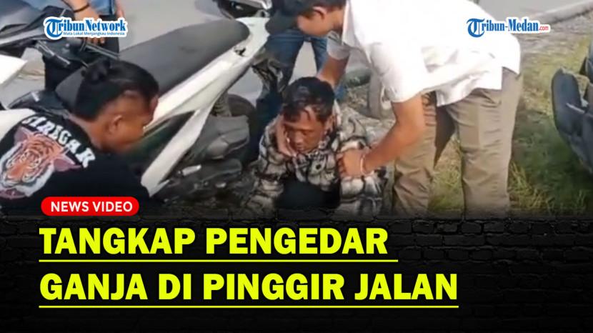 Tribun
