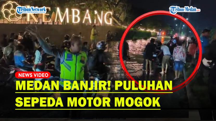 Tribun