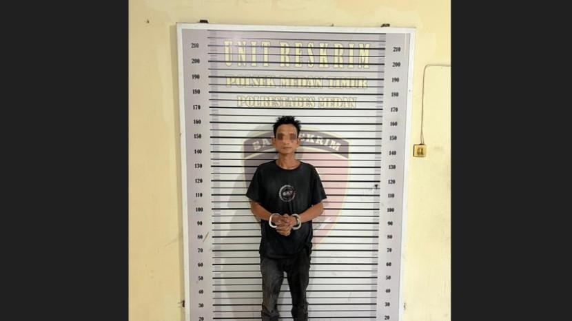 Tribun