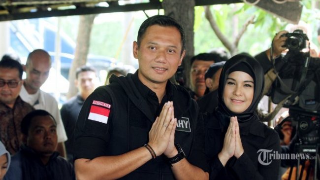 Tribun