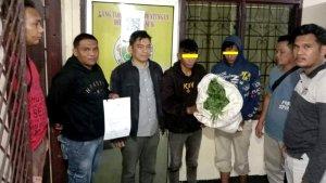 1-Kg-ganja-basah-Polsek-Binjai-Timur.jpg