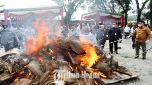 10082023_PEMUSNAHAN-BARANG-BUKTI-SATWA-DILINDUNGI_ABDAN-SYAKURO-1.jpg10082023_PEMUSNAHAN-BARANG-BUKTI-SATWA-DILINDUNGI_ABDAN-SYAKURO-2.jpg10082023_PEMUSNAHAN-BARANG-BUKTI-SATWA-DILINDUNGI_ABDAN-SYAKURO-3.jpg10082023_PEMUSNAHAN-BARANG-BUKTI-SATWA-DILINDUNGI_ABDAN-SYAKURO-4.jpg10082023_PEMUSNAHAN-BARANG-BUKTI-SATWA-DILINDUNGI_ABDAN-SYAKURO-5.jpg