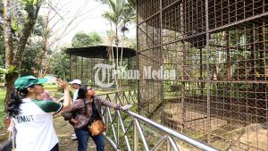 15012024_KONDISI-SATWA-MEDAN-ZOO_ABDAN-SYAKURO-7.jpg