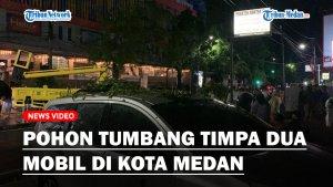 2-mobil-ditimpa-pohon.jpg