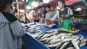 BBM-Naik-Harga-Ikan-Tinggi-Pendapatan-Turun.jpg