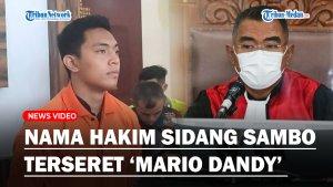 BIKIN-MALU-Aksi-Mario-Dandy-Serang-David-hingga-Terkapar-Hakim-Sidang-Sambo-Terseret.jpg