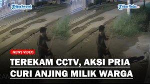 CCTV-sedang-mencuri-seekor-anjing.jpg