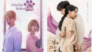 Drakor-A-Good-Day-To-Be-A-Dog-dan-Moon-In-The-Day.jpg
