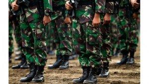 ILUSTRASI-TNI.jpg
