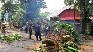 Jalan-Imam-Bonjol-Kecamatan-Medan-Maimun-lokasi-dimana-seorang.jpg
