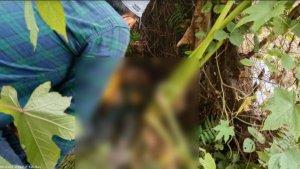 Jenazah-Pria-saat-ditemukan-oleh-warga-di-kawasan-Kecamatan-Medan-Sunggal.jpg
