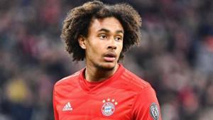 Joshua-Zirkzee-saat-bersama-Bayern-Munich.jpg