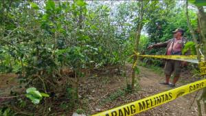 Kepala-Desa-Ndokum-Siroga-Kecamatan-Simpang-Empat-Datang-Karo-Karo.jpg