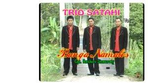 LAGU-BATAK-BUNGA-NAMALOS.jpg