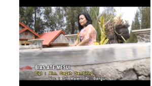 LAGU-KARO-BIAS-ATE-MESUI.jpg
