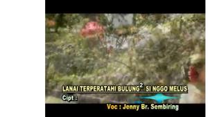 LAGU-KARO-LANAI-TERPERATAHI-BULUNG-SI-NGGO-MELUS.jpg