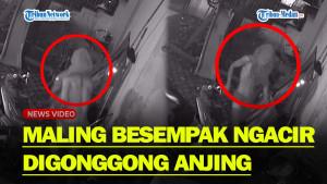 Maling-Cuma-Pakai-Sempak.jpg