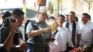 Menteri-Kordinator-Menko-Bidang-Perekonomian-Airlangga-Hartarto.jpg