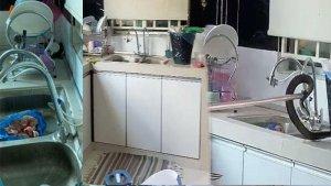NGERI-Mau-Cuci-Piring-Wanita-Ini-Malah-Lihat-Kepala-Ular-Mengembang-Ingin-Makan-Ayam-Mentah.jpg