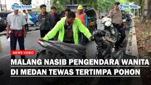 Naik-Motor-Pengendara-Wanita-Bernama-Himilda-44-alias-Gomes-Tewas-Tertimpa-Pohon-tumbang.jpg