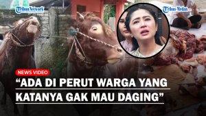 Nasib-Sapi-Dewi-Perssik-Usai-Cekcok-dengan-Pak-RT-Ada-di-Perut-Warga-yang-Katanya-Gak-Mau-Daging.jpg