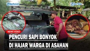 Pencuri-Sapi-Bonyok-di-Hajar-Warga-di-Asahan.jpg