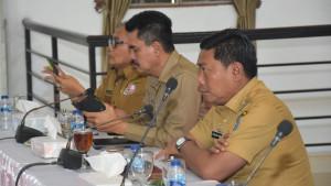 Pengendalian-Inflasi-Daerah-yanhyd.jpg