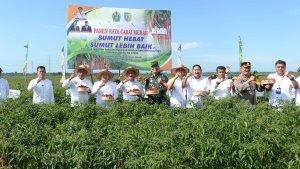 Pj-Gubernur-Sumut-Panen-Raya.jpg