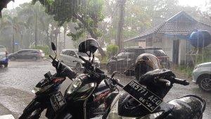 Pohon-di-Jalan-Sudirman-Kota-Medan.jpg