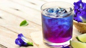 Resep Es Soda Bunga Telang, Selain Segar Juga Kaya Manfaat