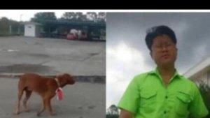 SOSOK-Robert-Herison-Kalungkan-Bendera-Merah-Putih-di-Leher-Anjing-Hotman-Paris-Dimana-Pidananya.jpg