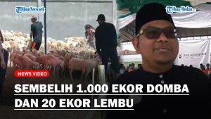 Sembelih-1020-ekor-hewan-kurban.jpg