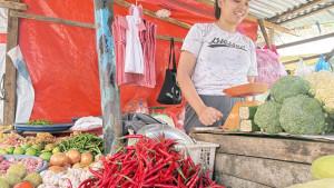 Seorang-pedagang-Cabai-Elsa-Dayani-saat.jpg