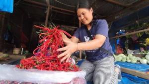 Seorang-pedagang-menyusun-cabai-merah-dagangannya-di-kawasan-Pasar.jpg