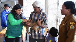 Suasana-vaksinasi-rabies-secara-massal-terhadap.jpg