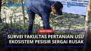 Survei-Fakultas-Pertanian-USU-Ekosistem-Pesisir-Sergai-Rusakbb.jpg