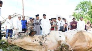 Syah-Afandin-Kurban-di-Kampung-Kasih-Sayang.jpg