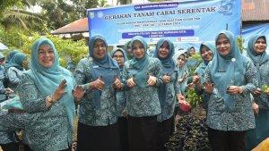 TP-PKK-Madina-Gelar-Tanam-Cabai-Serentak.jpg