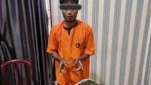 Tersangka-berinisial-S-Ganja-kering-polres-Karo-33.jpg