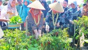Tim-Monitoring-PKK-Sumut-Tinjau-Desa-Percontohan.jpg
