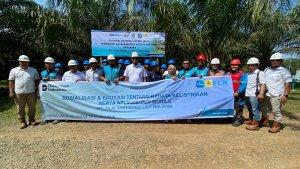 Tim-PLN-ULP-Galang-bersama-Tim-Panen-perkebunan-PTPN-IV.jpg