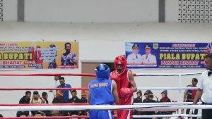 Tinju-Piala-Bupati-Pakpak-Bharat.jpg