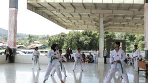 UKT-Taekwondo.jpg