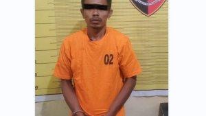 Unit-Reskrim-Polsek-Binjai-Kota-menangkap-pelaku-pencurian-Ayam-Siam-Bangkok.jpg