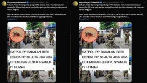 VIRAL-Satpol-PP-Bakal-Denda-Rp50-Juta-Jika-Temukan-Jentik-Nyamuk-di-Rumah-24-Warga-Dapat-SP1.jpg