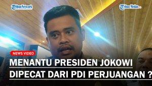 bobby-dipecat-dari-pdi-perjuangan.jpg