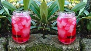 Resep Es Fanta Nata De Coco, Minuman Segar yang Gampang Disajikan