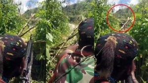 kkb-papua-serang-tni-dan-polri-di-papua.jpg
