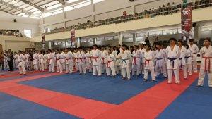 kontingen-Kushin-Ryu-M-Karatedo-Indonesia_KKI-Sumut_.jpg